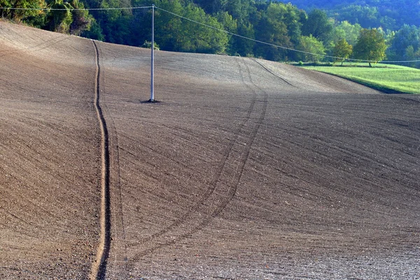 Πεδίο που έχουν σπαρεί με σιτάρι στην Τοσκάνη λόφο καλλιεργήσιμα εδάφη — Φωτογραφία Αρχείου