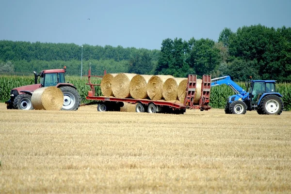 Traktory nahrát balíky sena v zemědělskou půdu — Stock fotografie