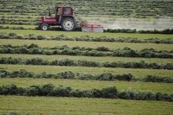 Зеленое поле с трактором на сельскохозяйственных угодьях — стоковое фото