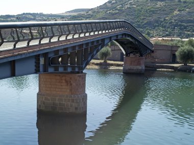 Temo Nehri Köprüsü