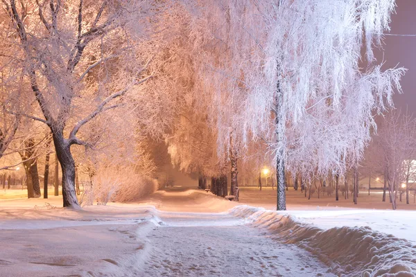 Nacht winterlandschap — Stockfoto
