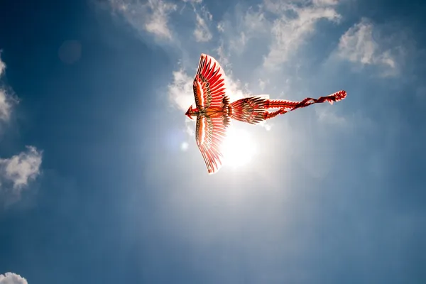 Latający firebird Zdjęcie Stockowe