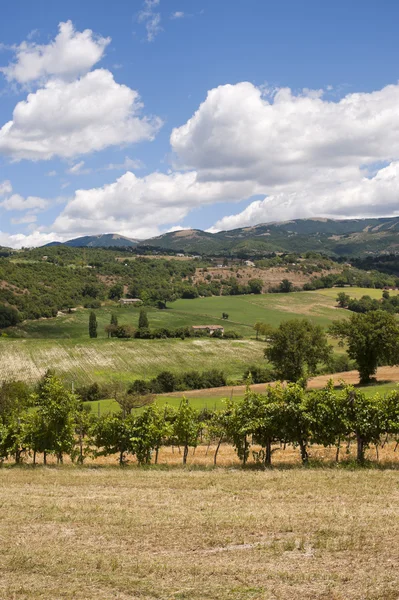 Landschaft zwischen Latium und Umbrien (Italien) im Sommer — Stockfoto