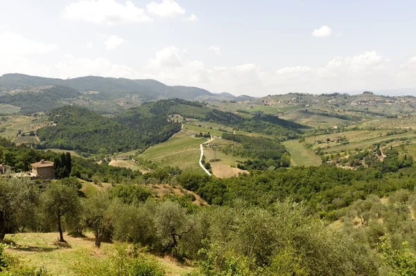 Wzgórza w Toskanii, w pobliżu artimino — Zdjęcie stockowe
