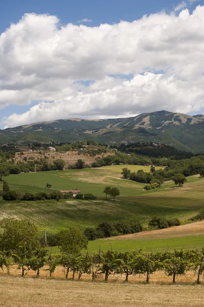 Lazio ve Umbria (İtalya) arasında yaz manzara — Stok fotoğraf