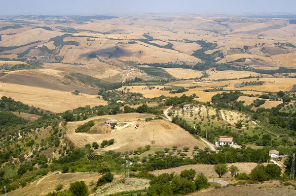 Landschap in Basilicata (Italië) in de buurt van Acerenza op zomer — Stockfoto