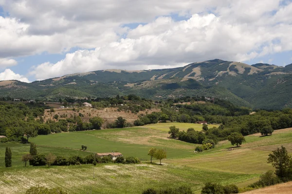 Krajina mezi Lazio a Umbrie (Itálie) v létě — Stock fotografie
