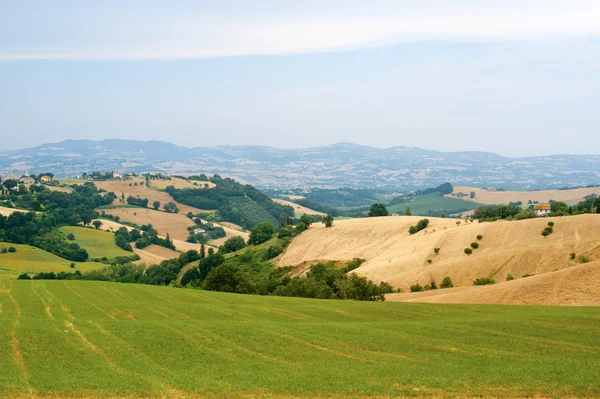 Marscher (Italien) - landskap på sommaren — Stockfoto