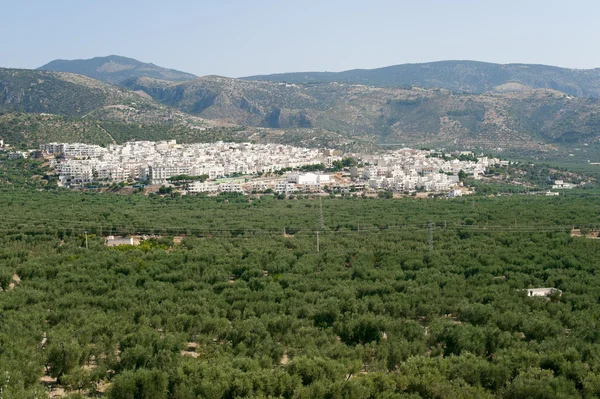 stock image Mattinata (Gargano, Puglia, Italy) at summer