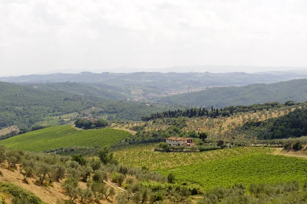Холмы Тосканы рядом с Артимино — стоковое фото