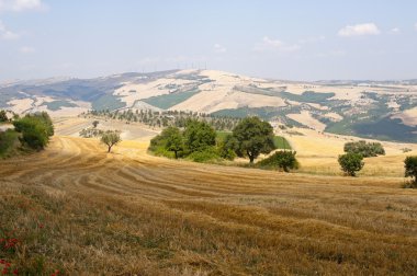 Basilicata yakınındaki Acerenza (İtalya) yazlık manzara