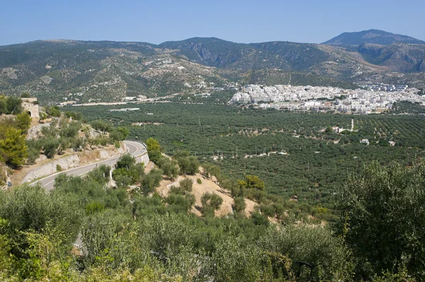 stock image Mattinata (Gargano, Puglia, Italy) at summer