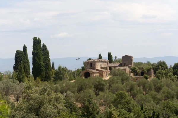 Bondgård på sommaren nära montepulciano (siena, Toscana, Italien) — Stockfoto