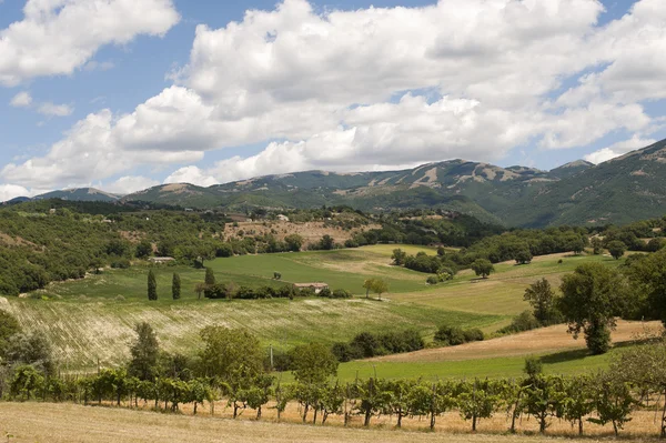 Krajobraz między Lazio i Umbrii (Włochy) na lato — Zdjęcie stockowe