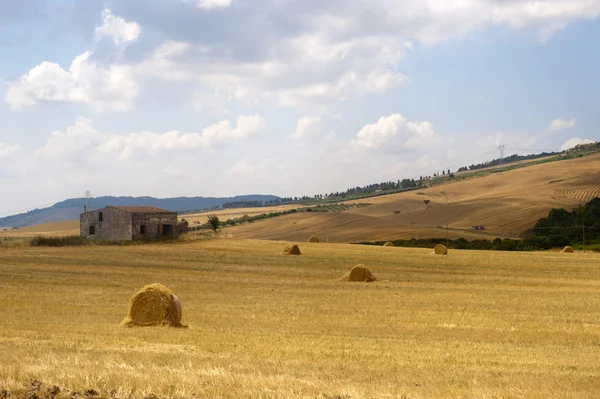 Entre Pouilles et Basilicate (Italie) : Paysage champêtre au summ — Photo