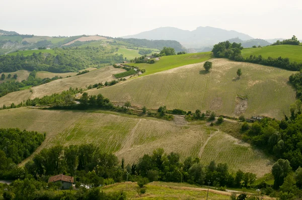 Пейзаж в Эмилия-Романья (Италия) летом — стоковое фото