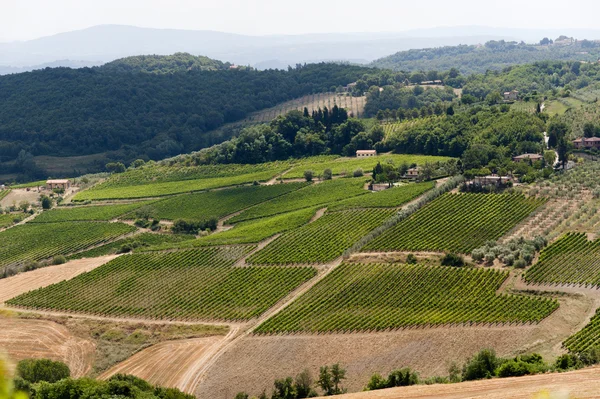 Landschaft mit Weinbergen im Sommer nahe Montepulciano (siena, tu — Stockfoto