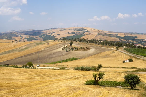 Paesaggio in Basilicata (Italia) vicino ad Acerenza in estate — Foto Stock