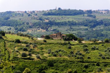 Chianti (Tuscany), old farmhouse