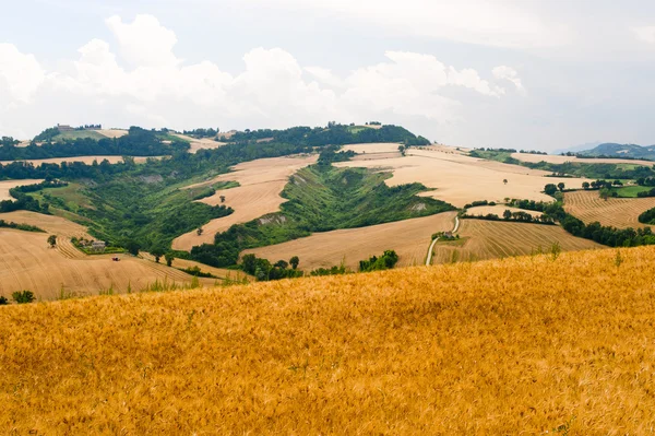 Marche (Włochy) - krajobraz na lato — Zdjęcie stockowe