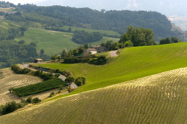 Пейзаж в Эмилия-Романья (Италия) летом — стоковое фото