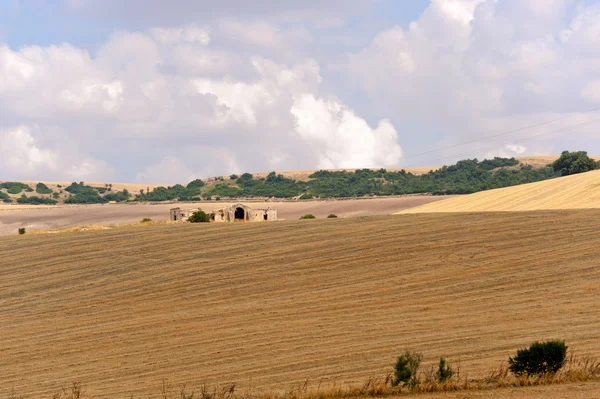 Mezi Puglia a Basilicata (Itálie): venkovská krajina v summ — Stock fotografie