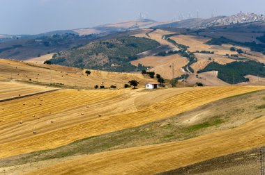 Basilicata yakınındaki Forenza (İtalya) yazlık manzara