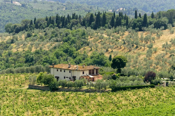 Bauernhof in der Toskana in der Nähe von artimino — Stockfoto