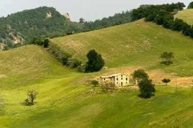 Landscape in Emilia-Romagna (Italy) at summer clipart