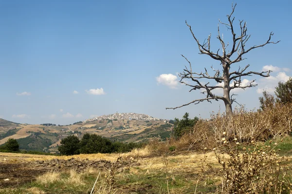 Krajina v Basilicata (Itálie) poblíž Forenza v létě — Stock fotografie