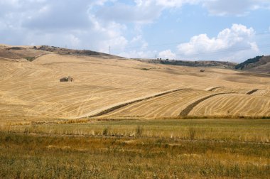 Puglia ve Basilicata (İtalya) arasında: ülke manzara summ,