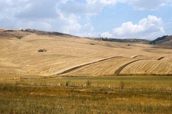 Entre Puglia y Basilicata (Italia): Paisaje rural en summ — Foto de Stock