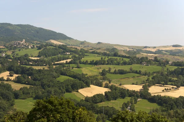 Monteltro (Marche, Italia), paisaje en verano — Foto de Stock