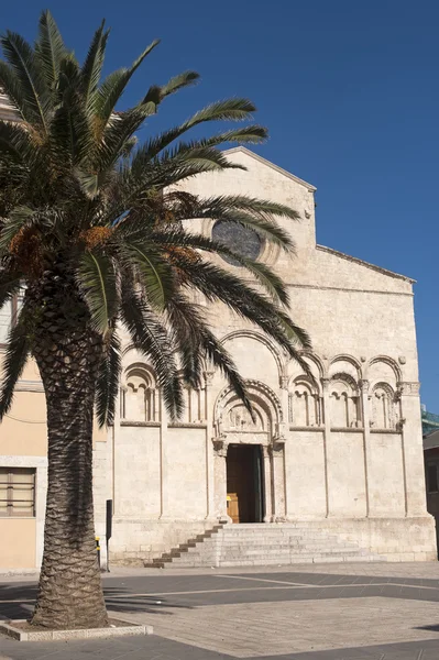 Termoli (Campobasso, Molise, Italia) - Fachada Catedral y palmera — Foto de Stock