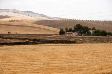 Puglia ve Basilicata (İtalya) arasında: ülke manzara summ,