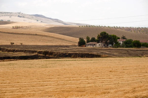 Between Puglia and Basilicata (Italy): Country landscape at summ — Stock Photo, Image