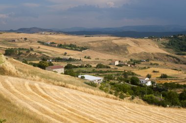 Basilicata yakınındaki Forenza (İtalya) yazlık manzara