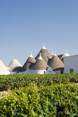 Murge (Puglia, italy) - Trulli and vines clipart