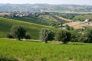 atri Doğal Parkı (teramo, abruzzi, İtalya), manzara yaz