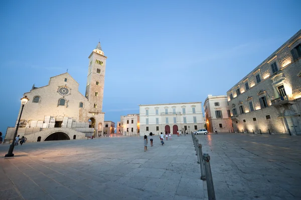 Trani (Puglia, Itália) - Catedral medieval à noite — Fotografia de Stock