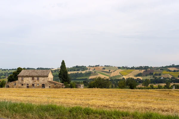 Marche (Italia) - Paesaggio d'estate, casa di campagna — Foto Stock
