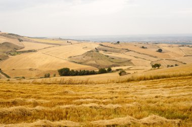 Basilicata yakınındaki Forenza (İtalya) yazlık manzara