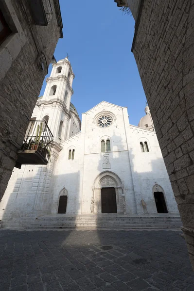 Bitetto (Bari, Puglia, Italia) - Antigua catedral de estilo románico —  Fotos de Stock