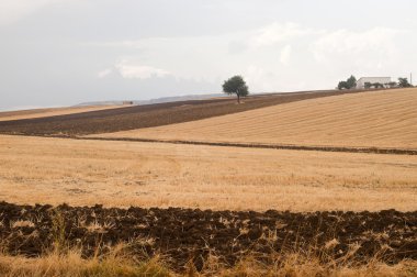 Puglia ve Basilicata (İtalya) arasında: ülke manzara summ,