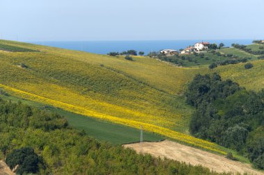 Atri Natural Park (Teramo, Abruzzi, Italy), landscape at summer clipart