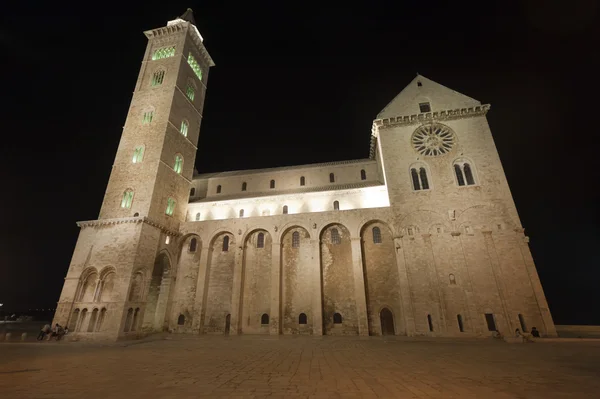 Trani (puglia, İtalya) - gece Ortaçağ Katedrali — Stok fotoğraf