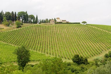 Chianti (Tuscany), old farmhouse clipart