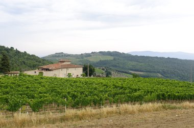 Chianti (Tuscany), old farmhouse