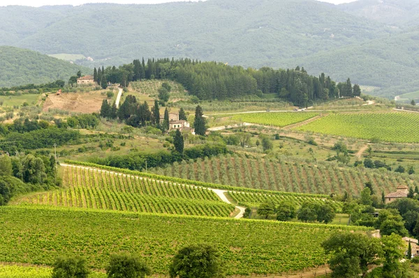 Vingårdarna i Chianti (Toscana) — Stockfoto