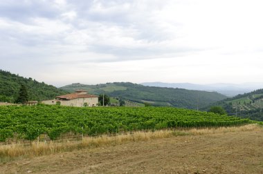 Chianti (Tuscany), old farmhouse